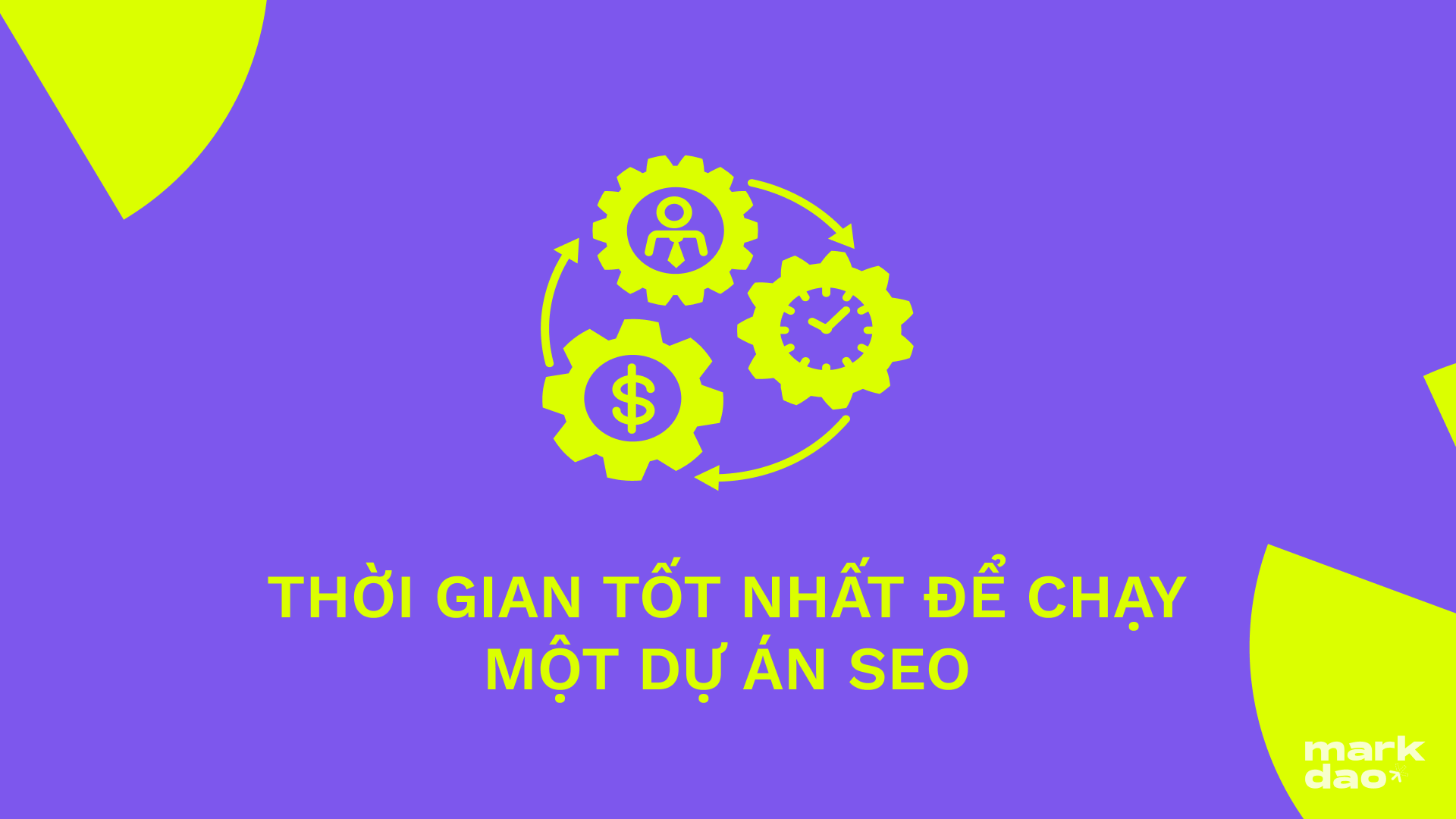 Mất bao lâu để một dự án SEO phát huy tác dụng tốt nhất?