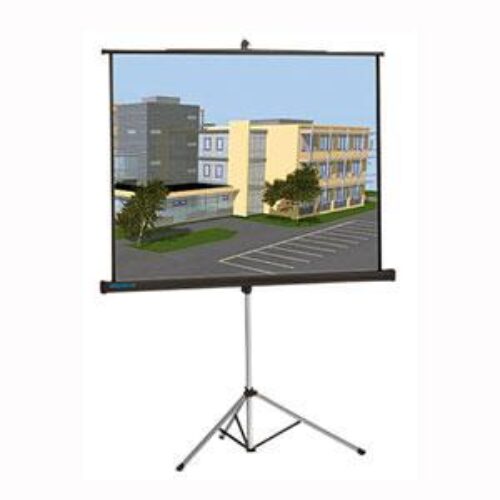 Màn chiếu Chân Dalite P96TS 136 Inch