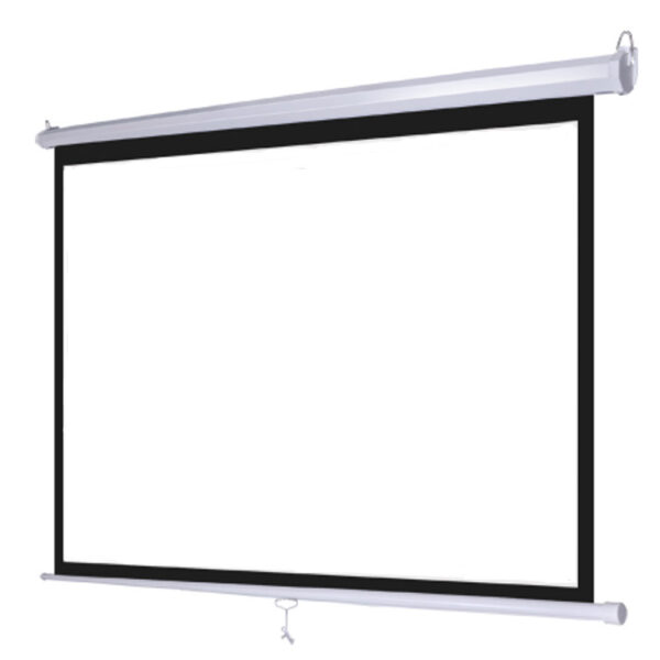 Màn chiếu Treo Dalite PL170WS 170Inch