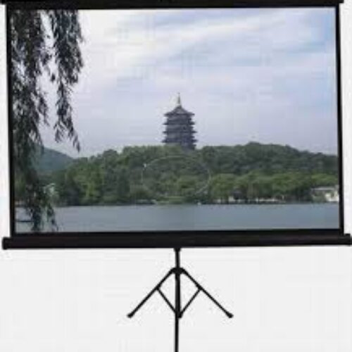 Màn chiếu Chân Dalite PW96TS 120 Inch