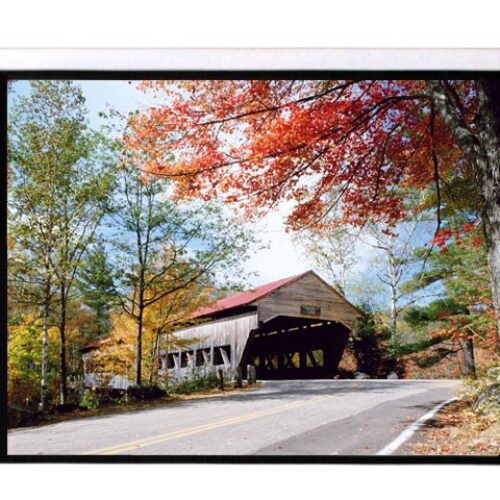 Màn chiếu Treo Dalite PL96WS 135 Inch
