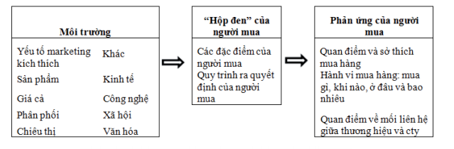mo-hinh-hop-den-nguoi-tieu-dung Mô hình hộp đen người tiêu dùng