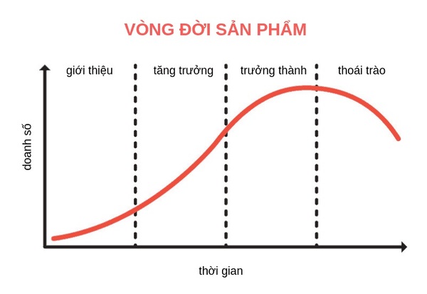 vong-doi-san-pham vòng đời sản phẩm
